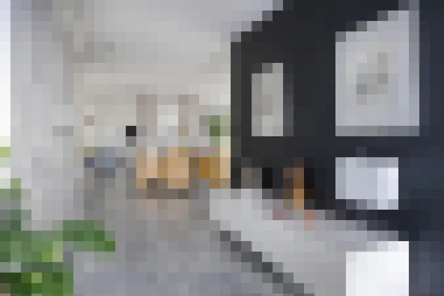 Dam 15 Goes thumbnail 24