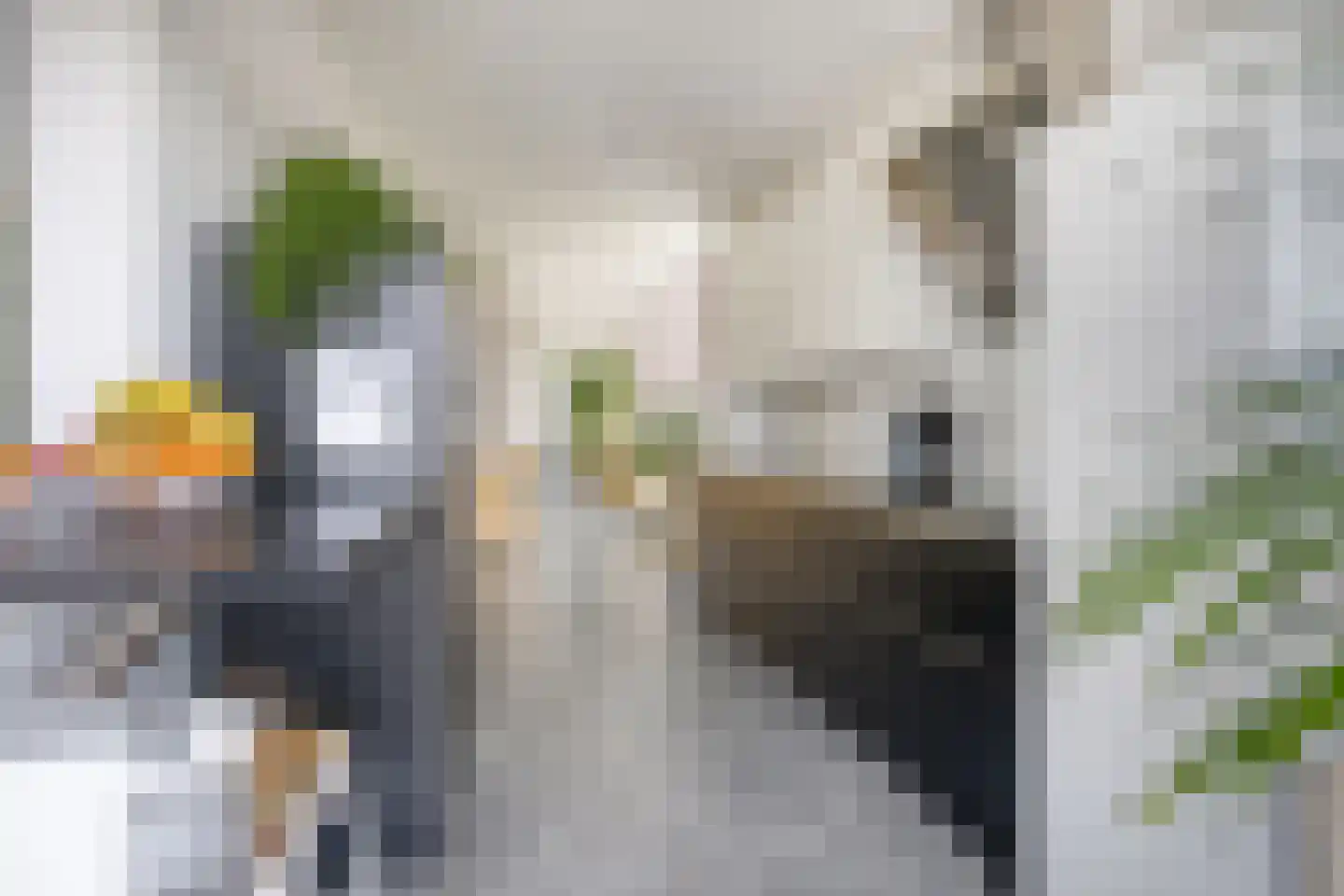 Dam 15 Goes thumbnail 30