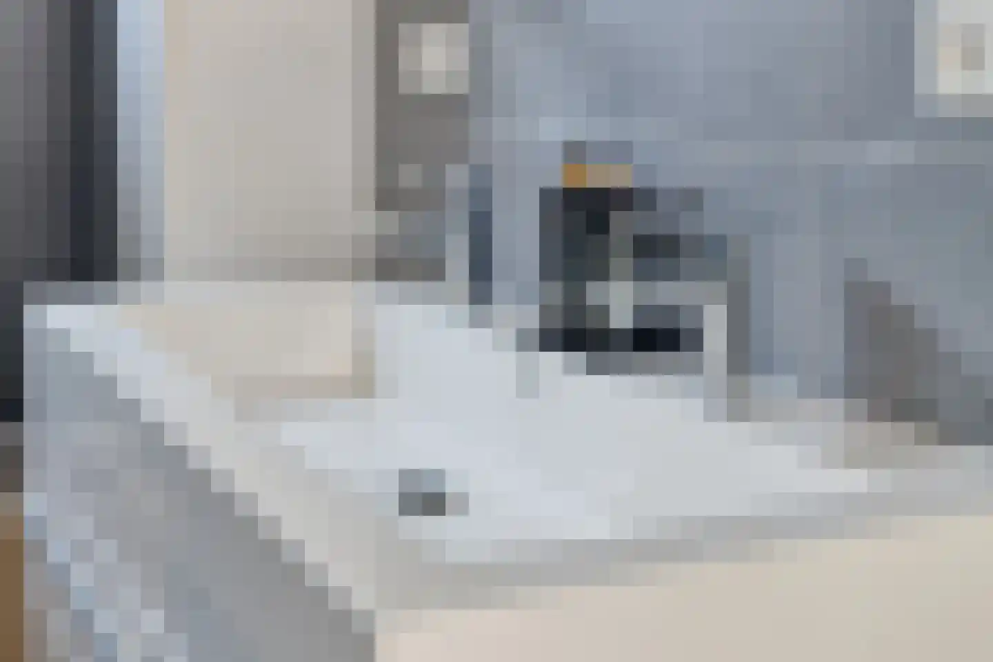 Dam 15 Goes thumbnail 42