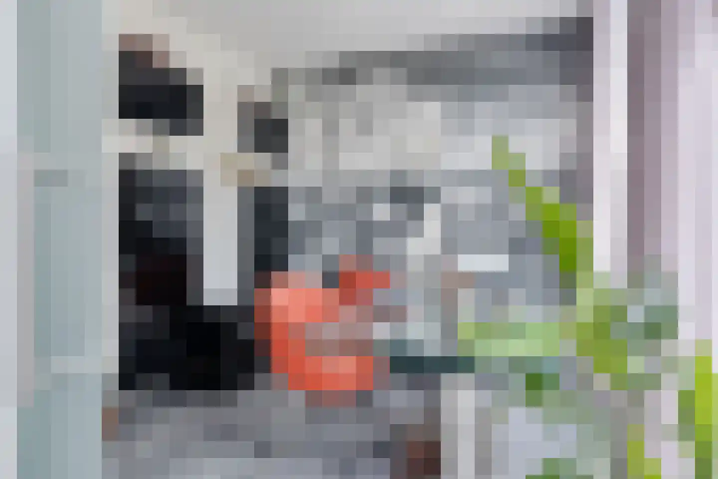 Dam 15 Goes thumbnail 48