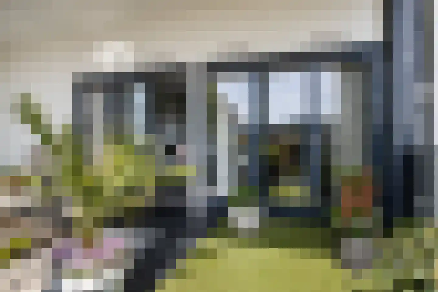 Dam 15 Goes thumbnail 53