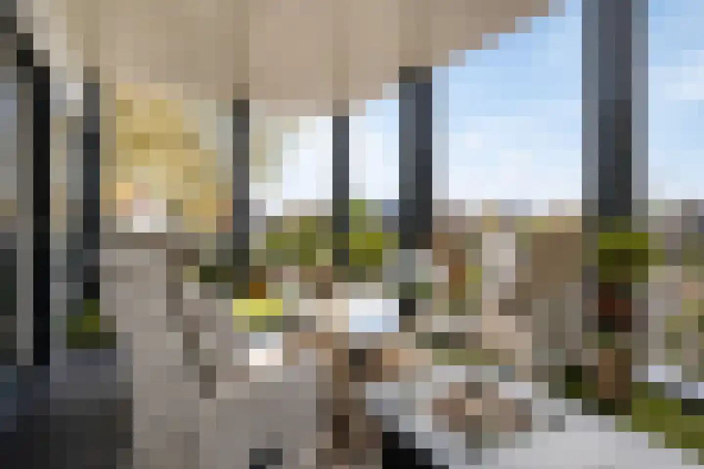 Dam 15 Goes thumbnail 54