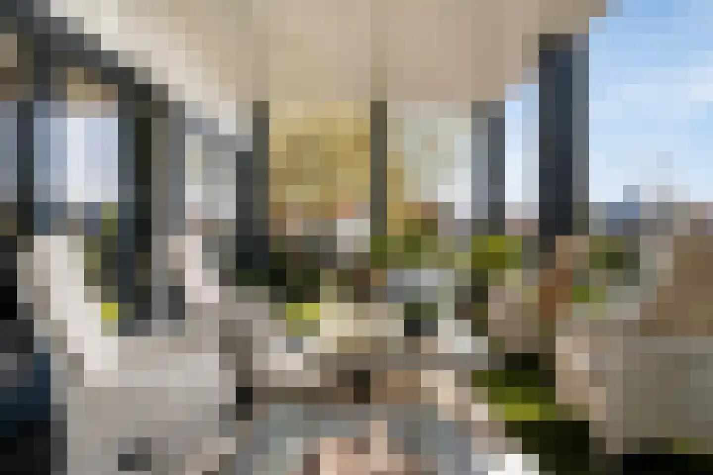 Dam 15 Goes thumbnail 55