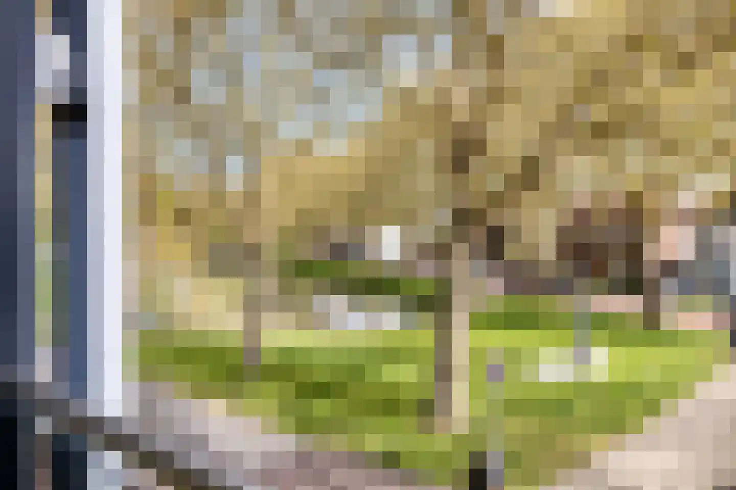 Dam 15 Goes thumbnail 57