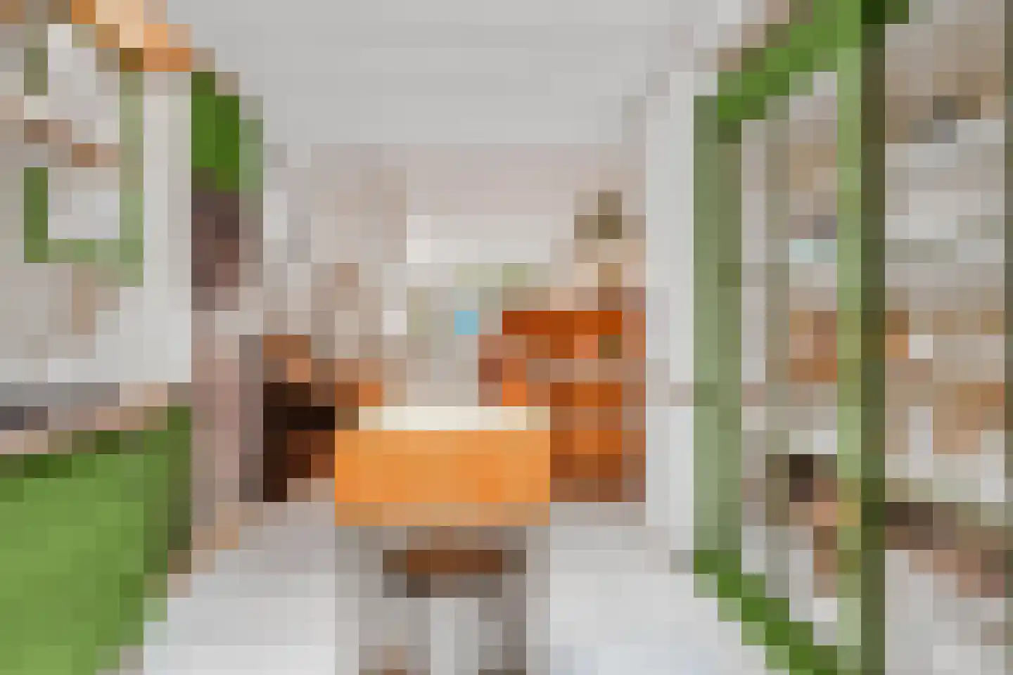 Dam 19 Schiedam thumbnail 17