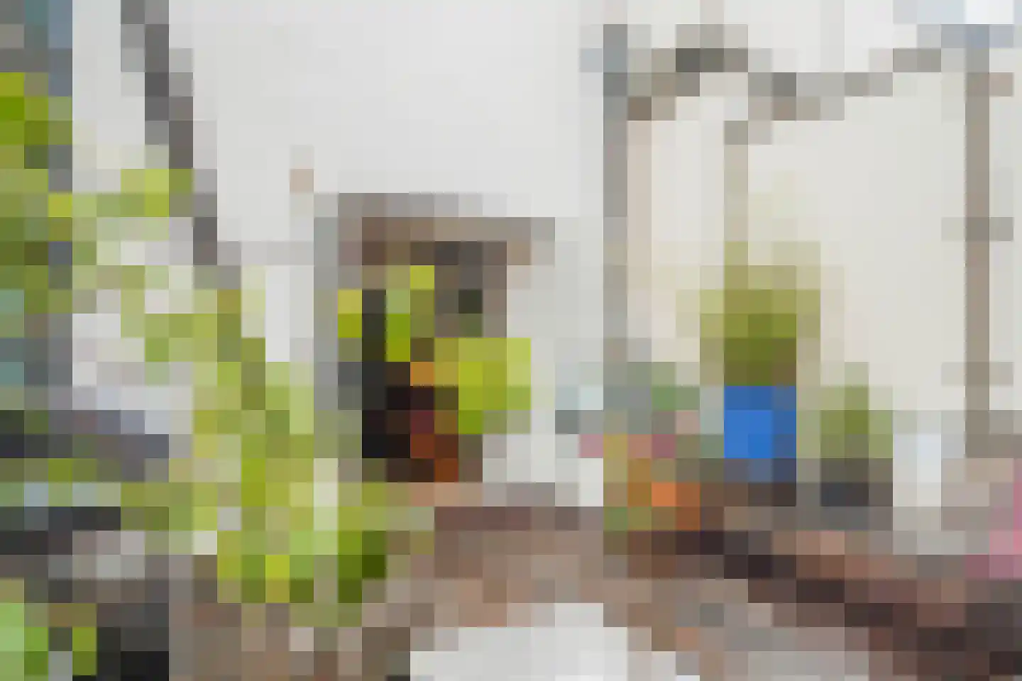 Dam 19 Schiedam thumbnail 30