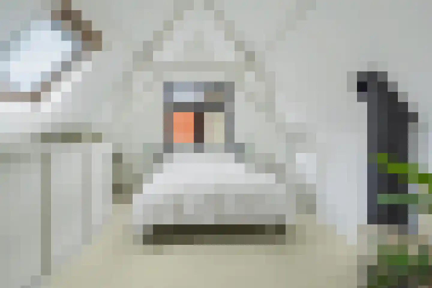 Dam 19 Schiedam thumbnail 31