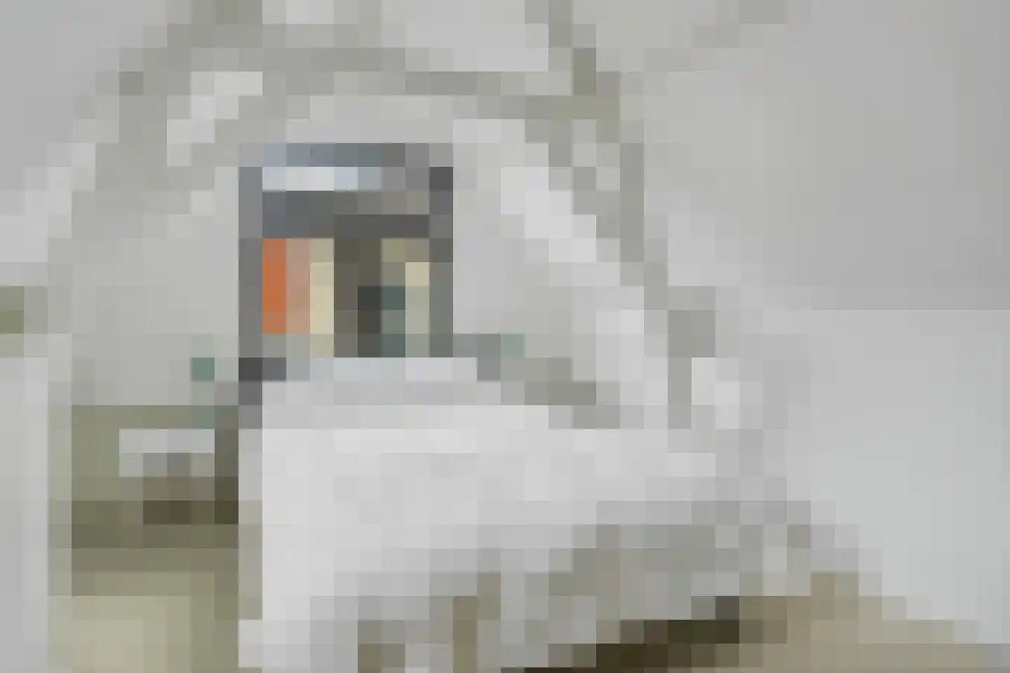 Dam 19 Schiedam thumbnail 32