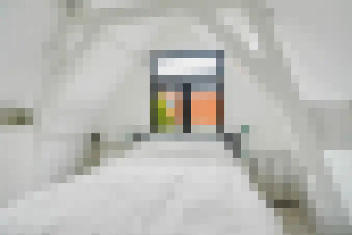 Dam 19 Schiedam thumbnail 33