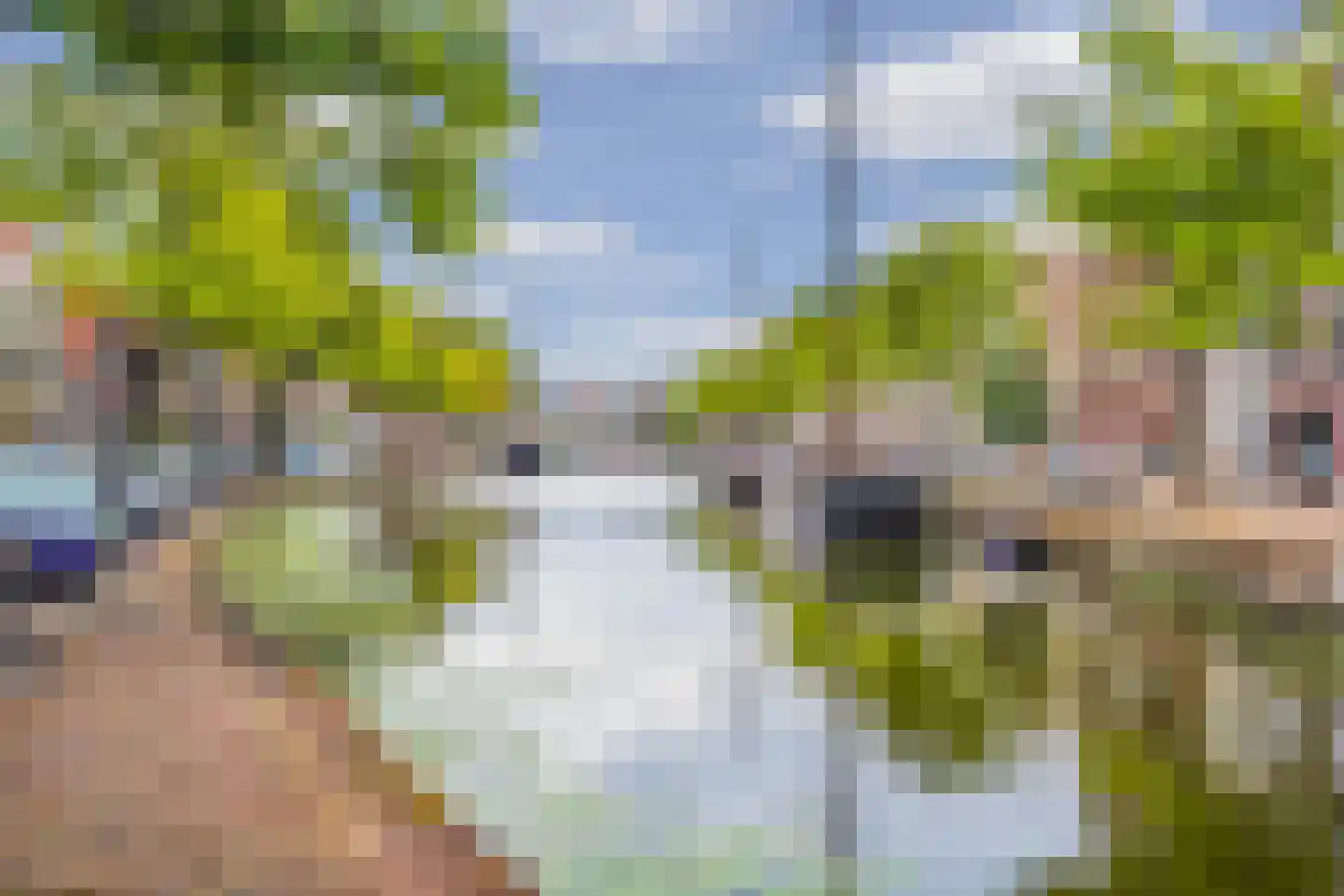 Dam 19 Schiedam thumbnail 47