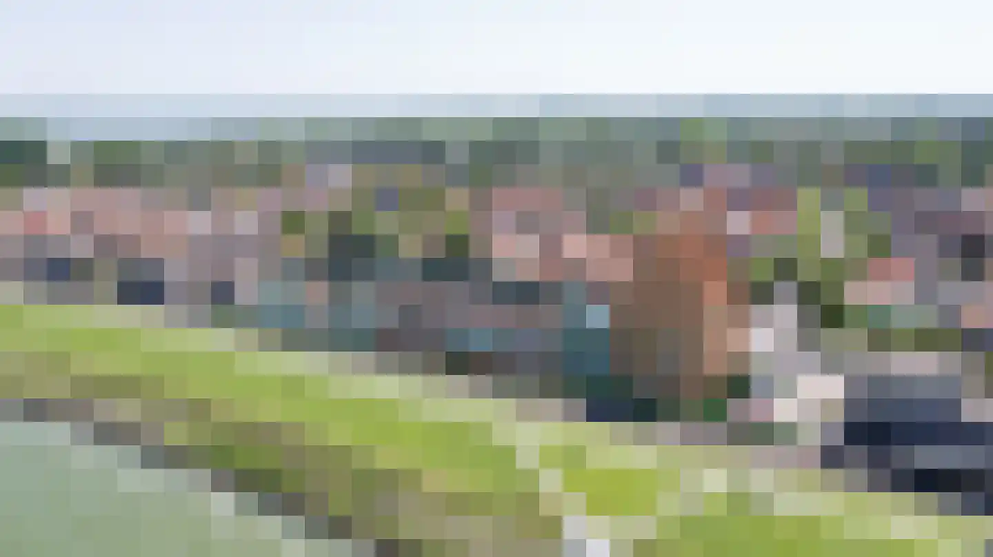 Dam 2 Medemblik thumbnail 7