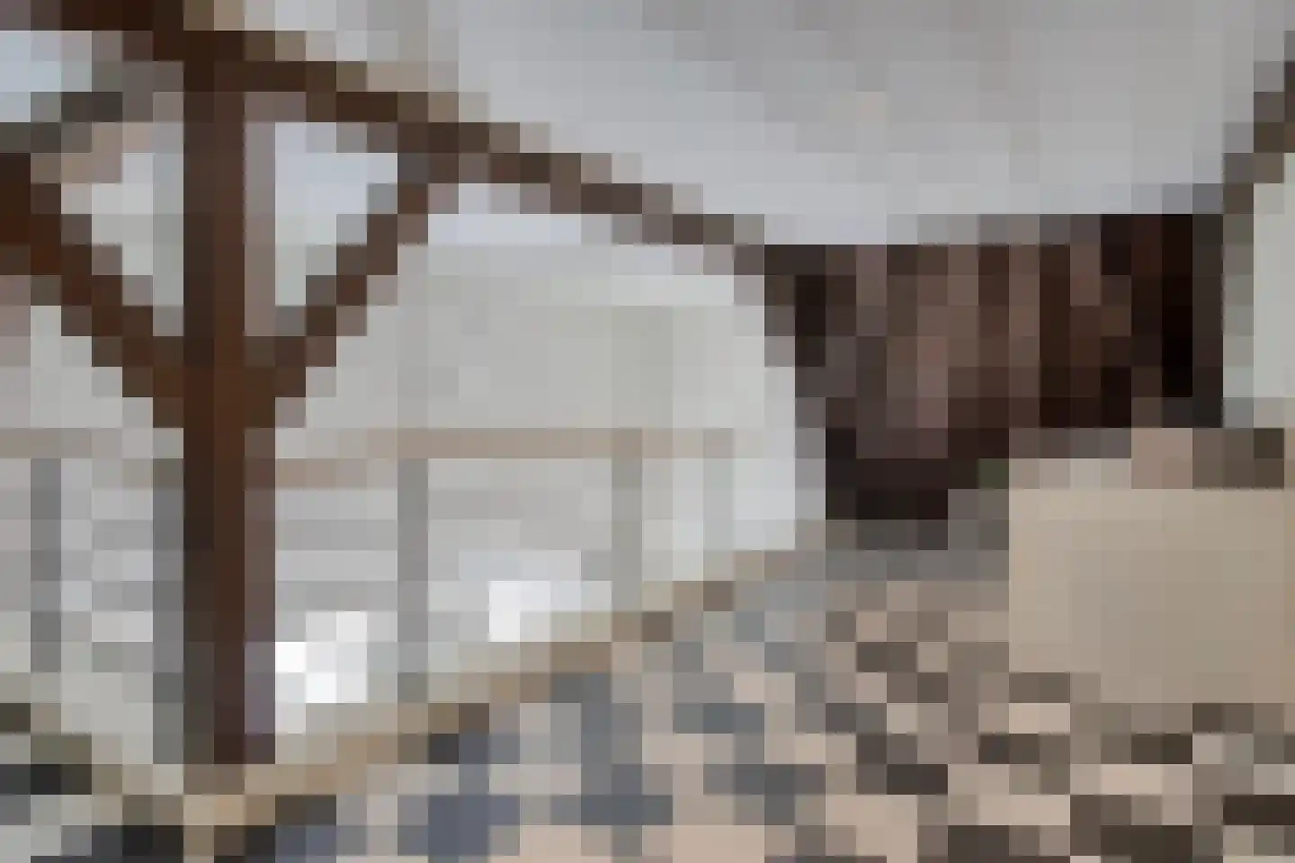 Dam 21 B Middelburg thumbnail 25
