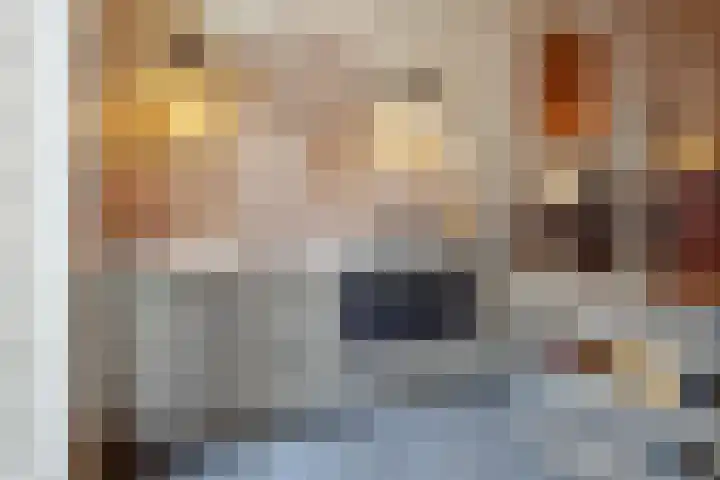 Dam 21 Schiedam thumbnail 12