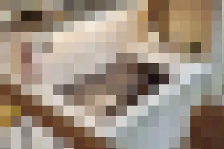 Dam 21 Schiedam thumbnail 14