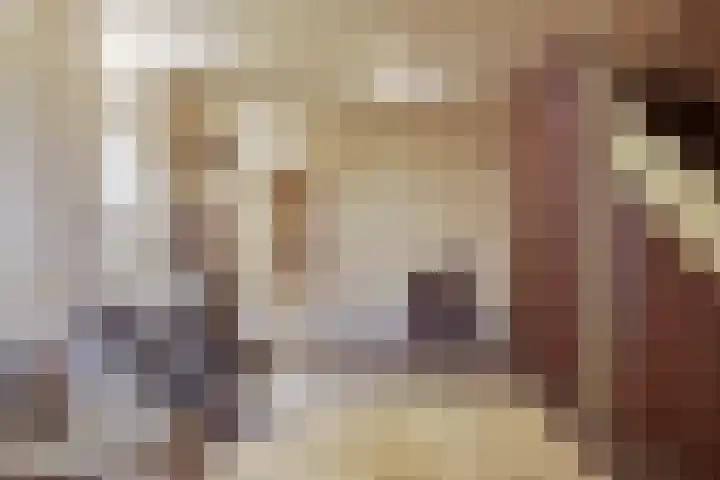 Dam 21 Schiedam thumbnail 33