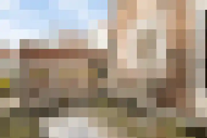 Dam 21 Schiedam thumbnail 45