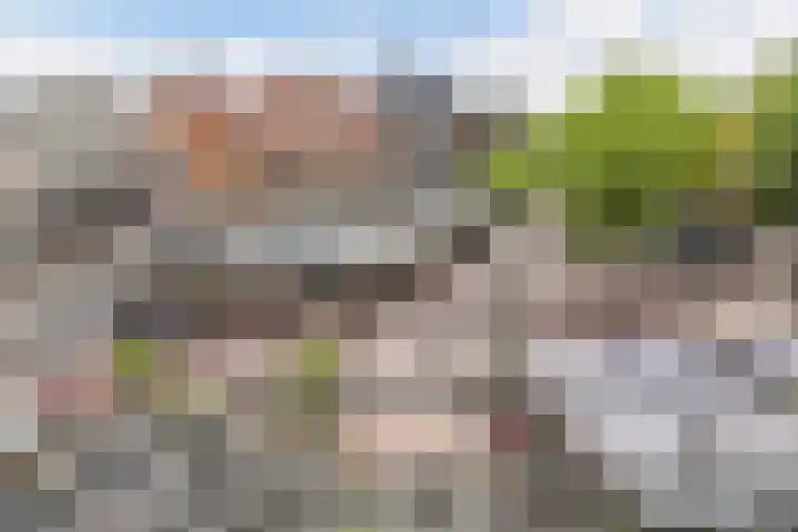 Dam 26 a Zaandam thumbnail 13
