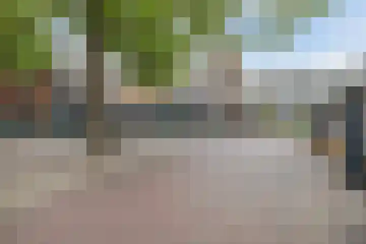 Dam 26 a Zaandam thumbnail 8
