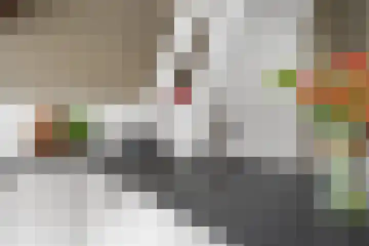 Dam 3 A Ameide thumbnail 12