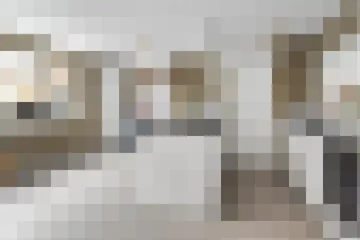 Dam 3 A Ameide thumbnail 13