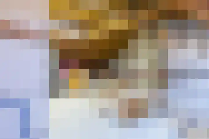 Dam 3 A Ameide thumbnail 16