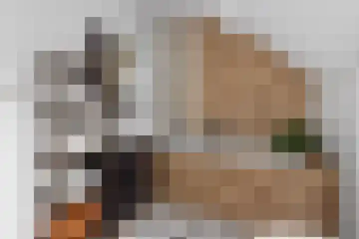 Dam 3 A Ameide thumbnail 20