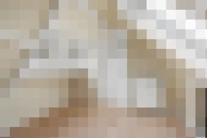 Dam 3 A Ameide thumbnail 23