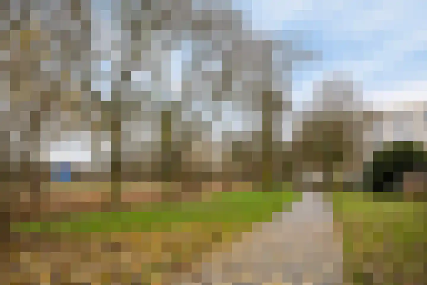 Dam 3 A Ameide thumbnail 25