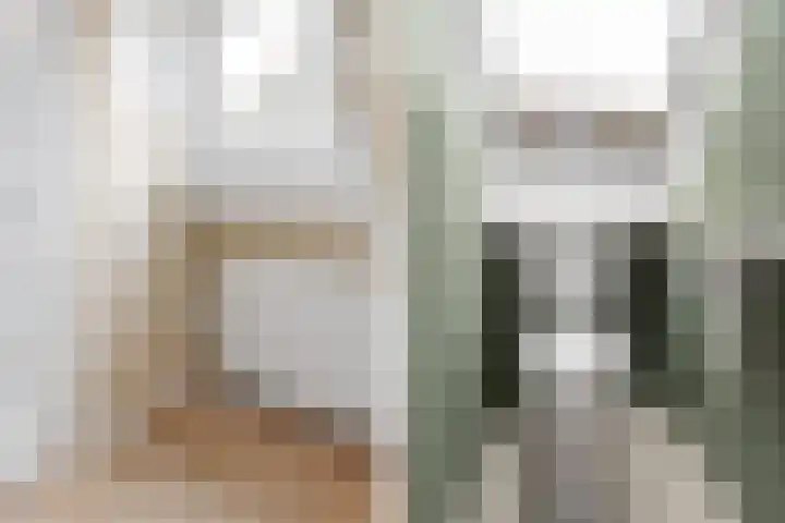 Dam 3 A Ameide thumbnail 27