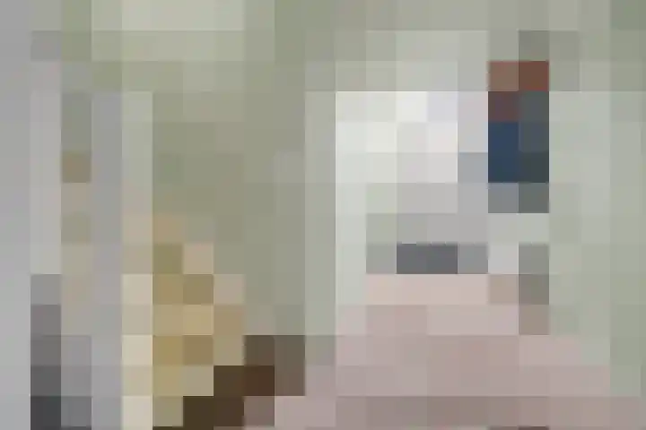 Dam 3 A Ameide thumbnail 29