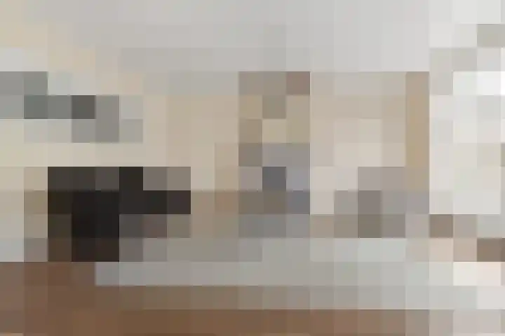 Dam 3 A Ameide foto 3