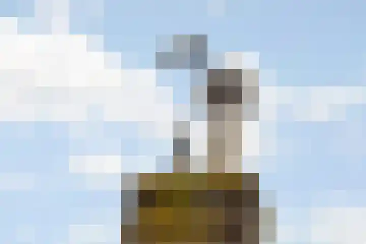 Dam 3 A Ameide thumbnail 32