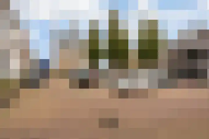 Dam 3 A Ameide thumbnail 33