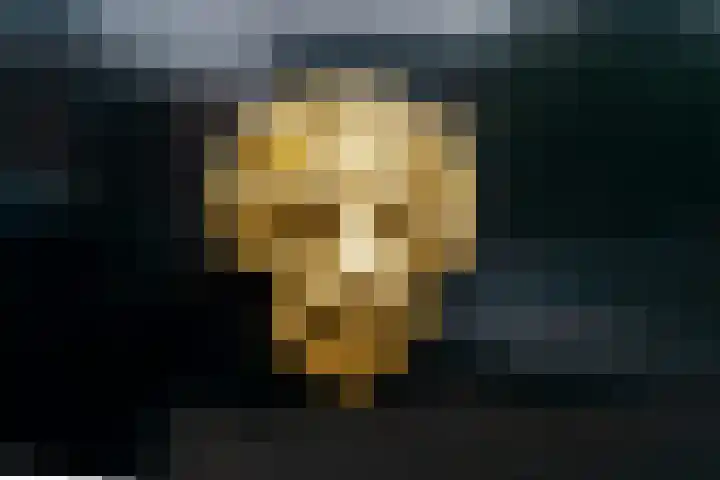 Dam 3 A Ameide thumbnail 34