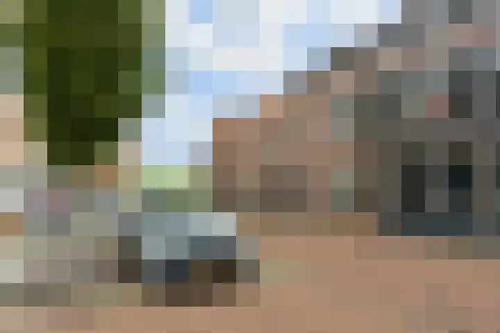 Dam 3 A Ameide thumbnail 35