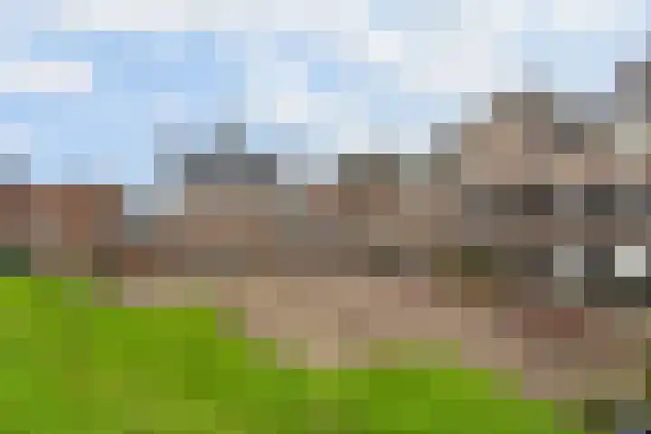 Dam 3 A Ameide thumbnail 36