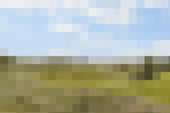 Dam 3 A Ameide thumbnail 40