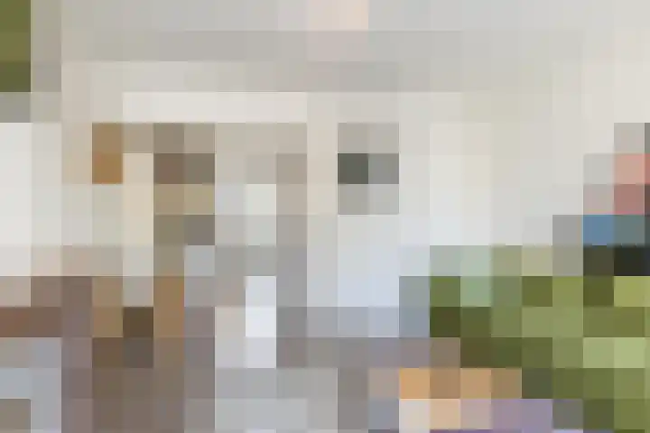 Dam 34 Schiedam thumbnail 11