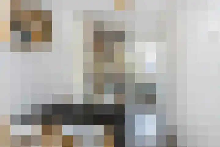 Dam 34 Schiedam thumbnail 16