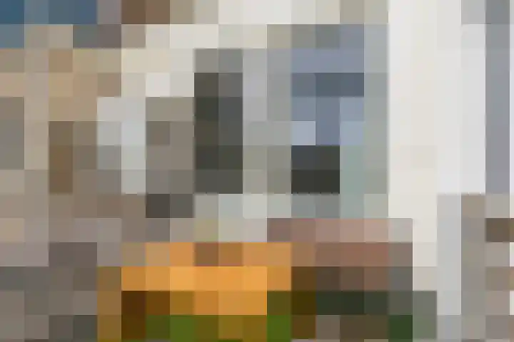 Dam 34 Schiedam thumbnail 21