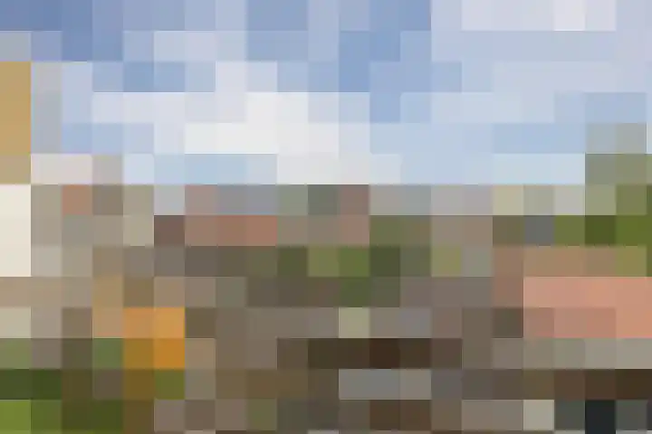 Dam 34 Schiedam thumbnail 23
