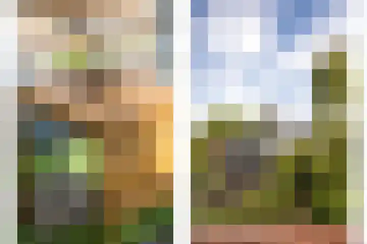 Dam 34 Schiedam thumbnail 24