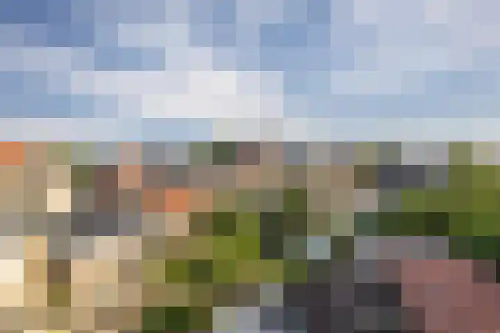 Dam 34 Schiedam thumbnail 25