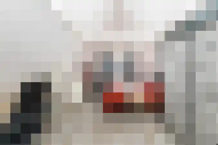 Dam 34 Schiedam thumbnail 30