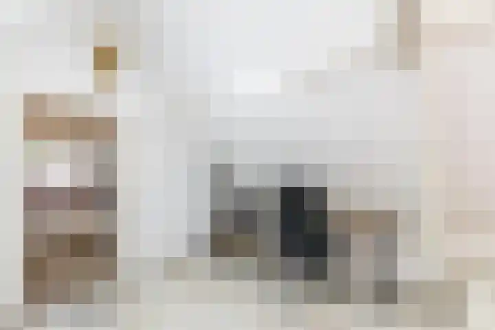 Dam 34 Schiedam thumbnail 31