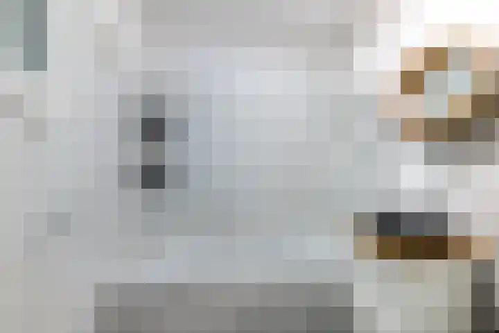 Dam 34 Schiedam thumbnail 35