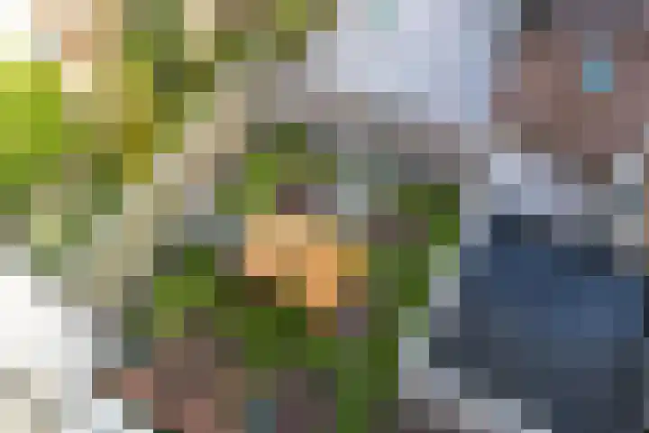 Dam 34 Schiedam thumbnail 36