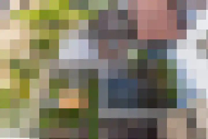 Dam 34 Schiedam thumbnail 37