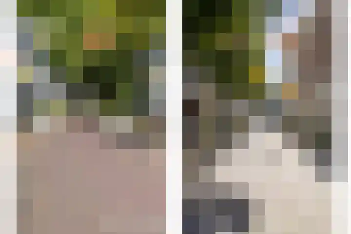 Dam 34 Schiedam thumbnail 39