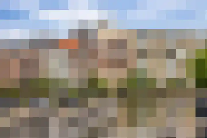 Dam 34 Schiedam thumbnail 41